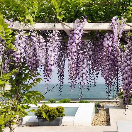 Вилла - Cosiness 4 Meters From The Sea *