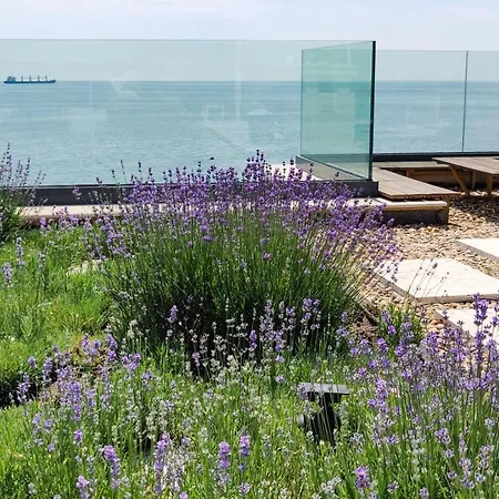 - Cosiness 4 Meters From The Sea Varna