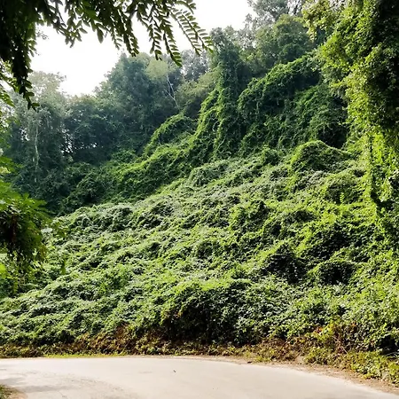 - Cosiness 4 Meters From The Sea * Варна