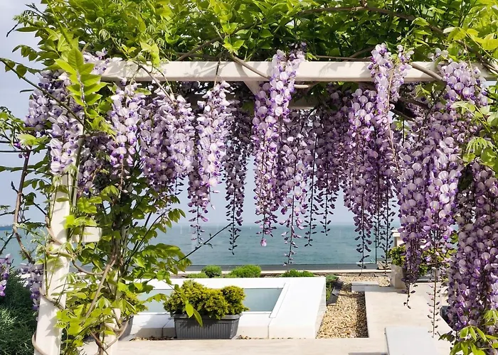 Villa - Cosiness 4 Meters From The Sea *