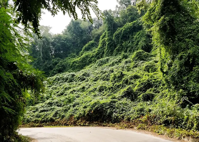 - Cosiness 4 Meters From The Sea * Varna